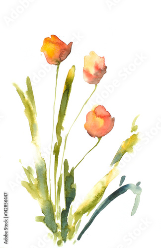 Fototapeta Naklejka Na Ścianę i Meble -  Stylized tulip flowers , watercolor illustrator