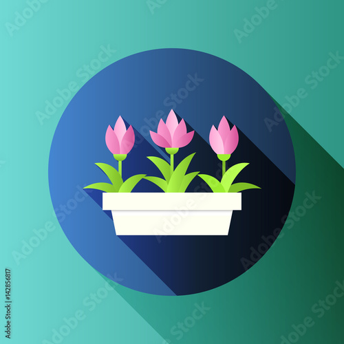 Vector illustration with flower pot in flat style. Vector narcissus isolated on white background