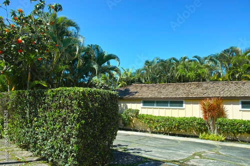ハワイ　ラニカイ住宅街の風景