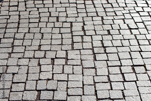 Some Paving stones on the walkway in Erfurt