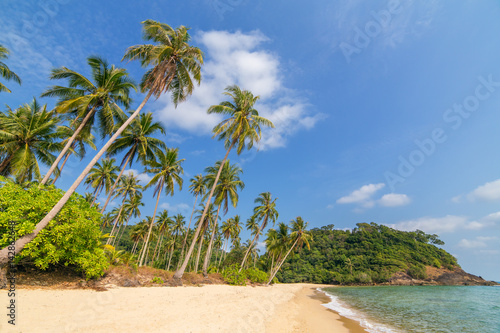 Fototapeta Naklejka Na Ścianę i Meble -  Palm trees on beautiful tropical beach on Koh Chang island in Thailand