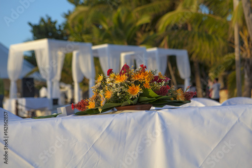 Wedding in tropic
