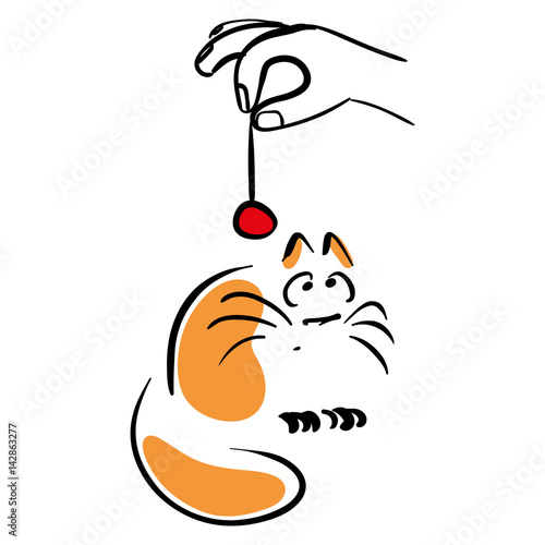 Owner plays with cat