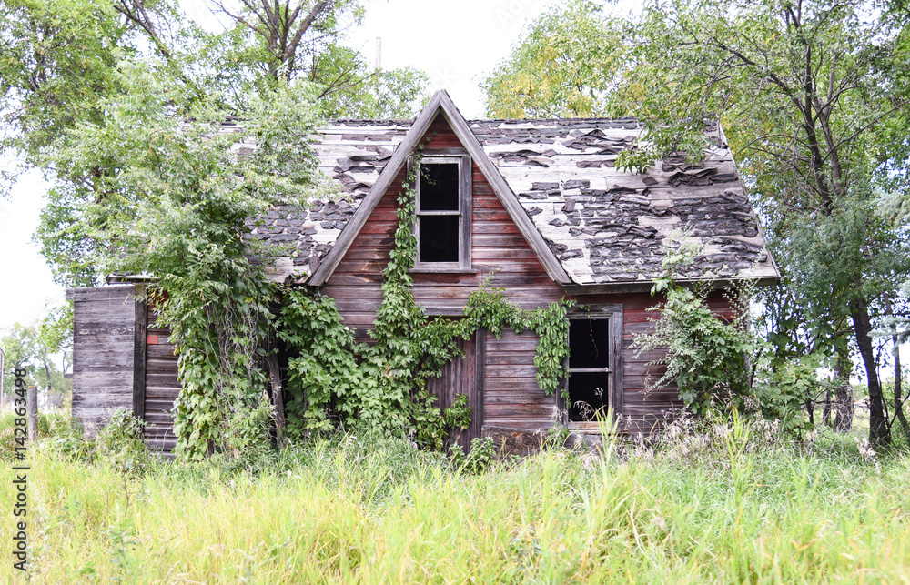 Abandoned, deteriorated old building with Virginia Creeper creating a charming yet spooky house Abandoned, deteriorated old building with Virginia Creeper creating a charming yet spooky house