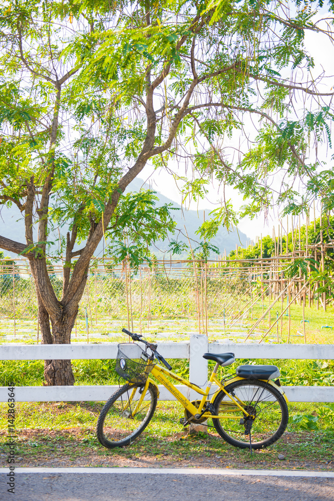 ride bicycle travel in garden