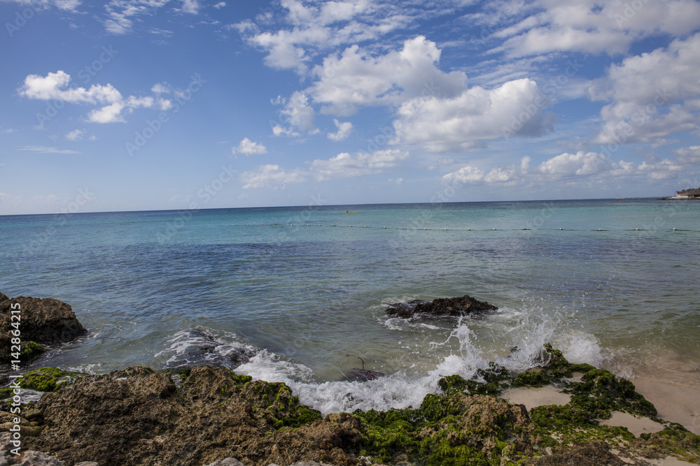 Caribbean  reef