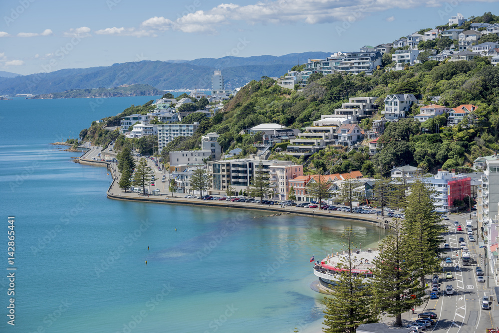 Wellington Harbour and Oriental Bay