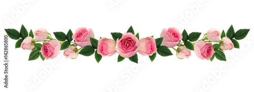 Pink rose flowers and buds line arrangement