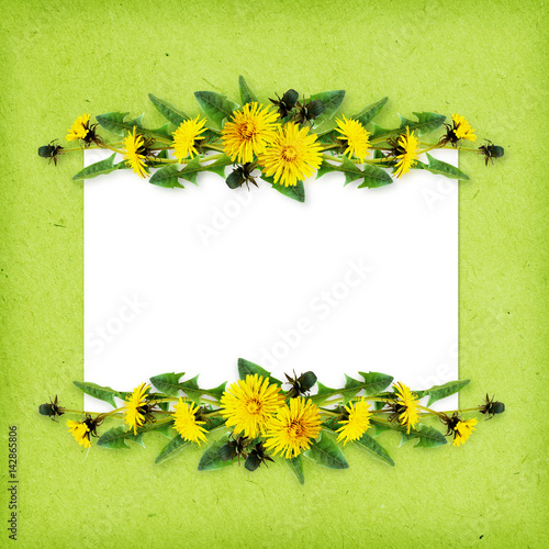 Dandelion flowers line arra...