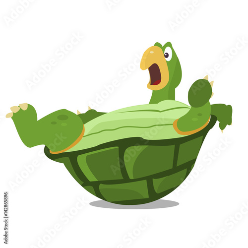 Shocked Turtle