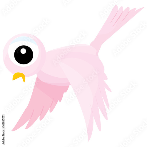 Pink Bird