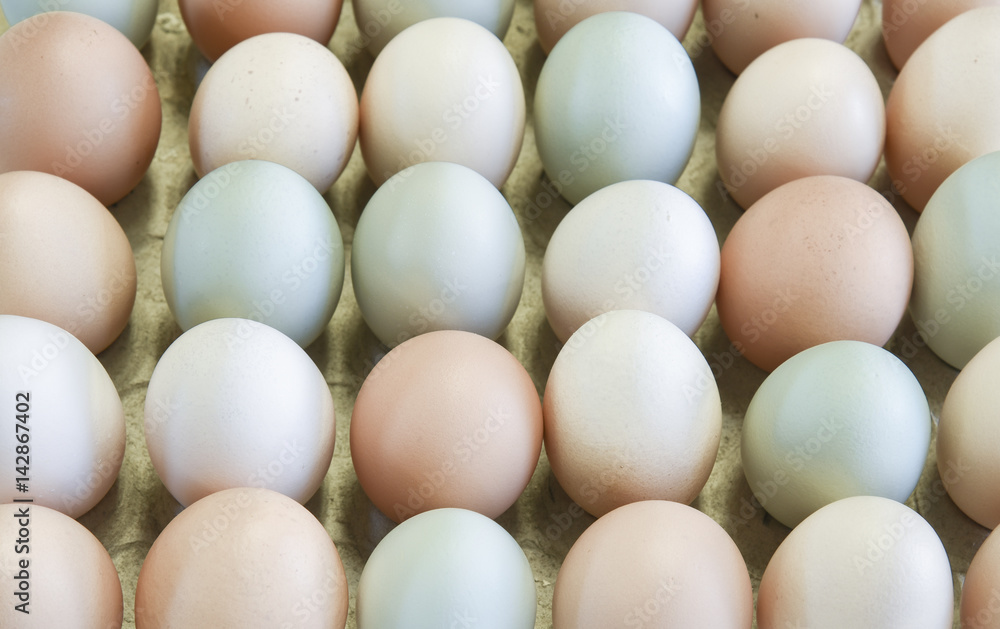 Free range, organic farm eggs in a flat carton Free range, organic farm eggs in a flat carton
