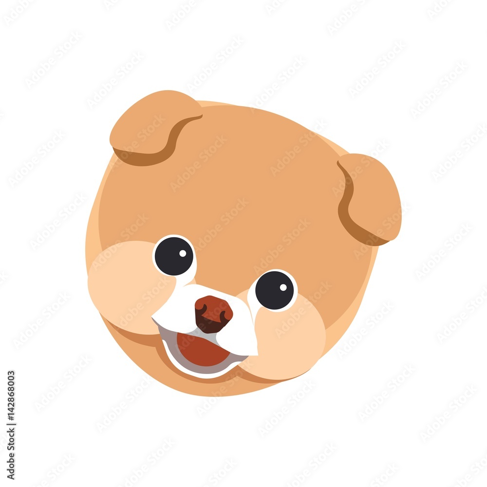 Pomeranian spitz puppy close up portrait isolated on white Pomeranian spitz puppy close up portrait isolated on white