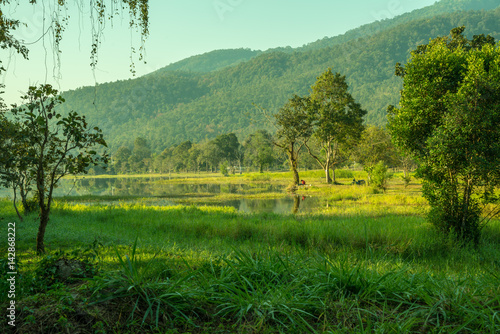 Landscape view of Huay Tueng Tao lake in Chiangmai province photo