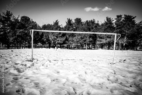 Forest soccer field