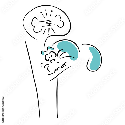 Cat is afraid to break a bone