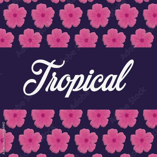 tropical flowers. colorful design. vector illustraiton icon
