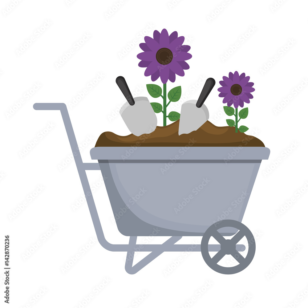 wheelbarrow with beautiful flowers over white background. colorful design. vector illustration