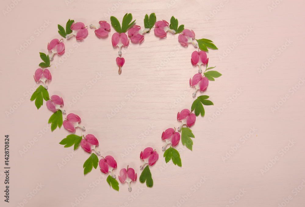 Bleeding heart florettes arranged in the shape of a heart for Valentine's Day  or wedding projects