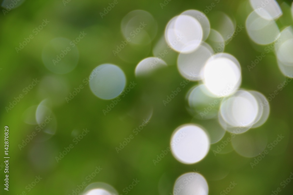 Fototapeta premium Bokeh abstract beautiful nature warm background with copy space.