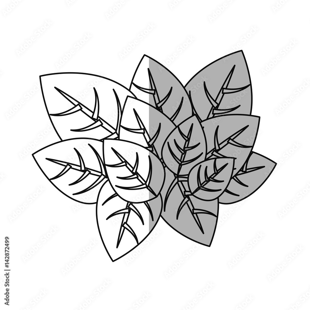 leaves icon over white background. vector illustration leaves icon over white background. vector illustration
