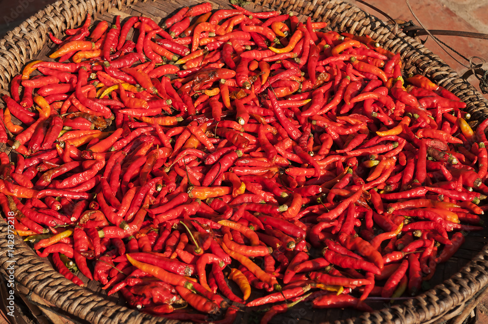 Fototapeta premium Basket of Red Chili Peppers in the sun.