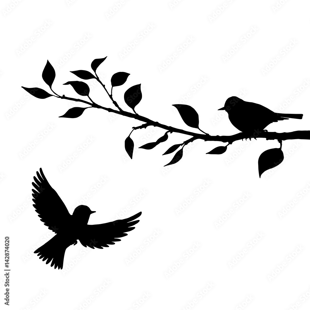 birds at tree silhouettes