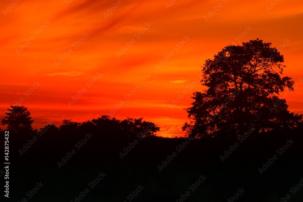 sunset beautiful colorful landscape and silhouette tree in sky twilight time sunset beautiful colorful landscape and silhouette tree in sky twilight time