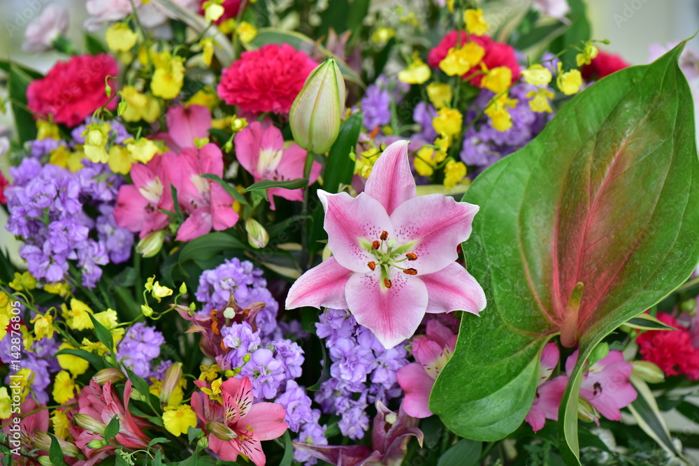 Obraz premium 花束