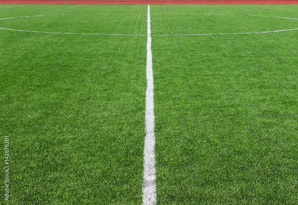 Soccer football field center divided with white line