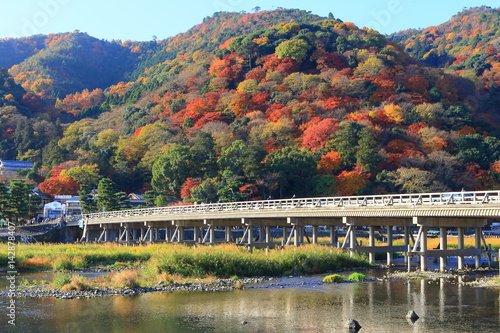 京都　古都　風景　嵐山