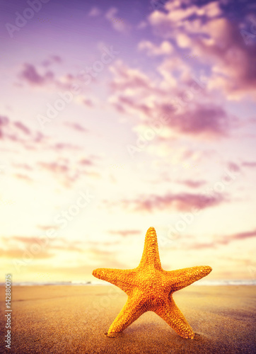 Starfish on the beach on a sunny day © Netfalls