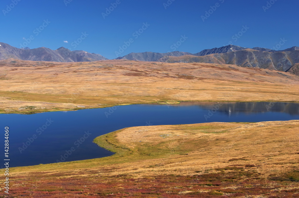 Colorful highland landscape steppe shore of a deep blue lake with dry yellow grass on the background of rocky mountains under blue clear sky Plateau Ukok Altai Siberia Russia