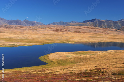 Colorful highland landscape steppe shore of a deep blue lake with dry yellow grass on the background of rocky mountains under blue clear sky Plateau Ukok Altai Siberia Russia