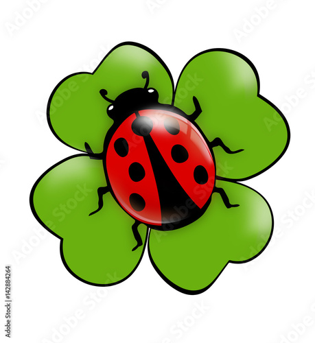 Marienkäfer auf Kleeblatt