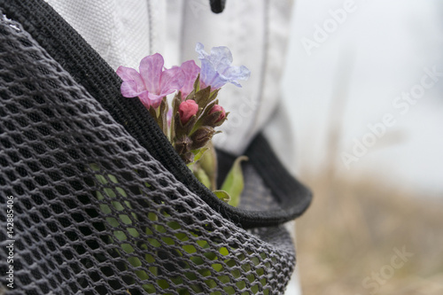 Flowers in a side pocket of a backpack