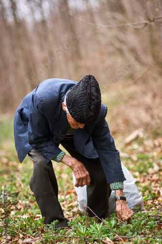 Old man picking nettles