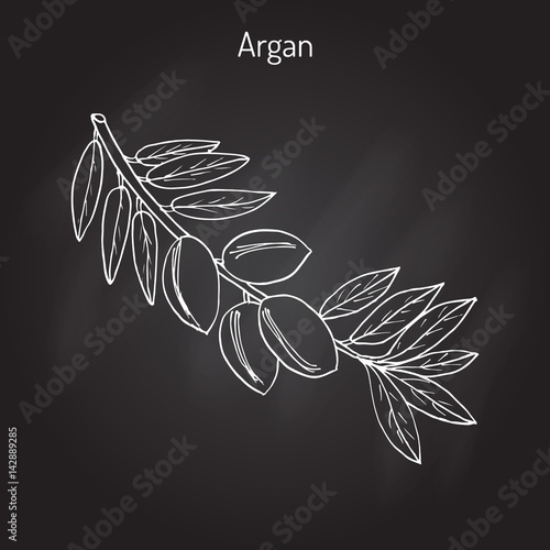 Argan, Argania spinosa