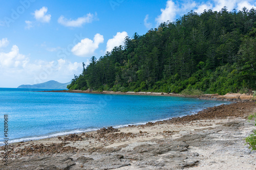 Beautiful beach with turquoise blue water and forest on the background
