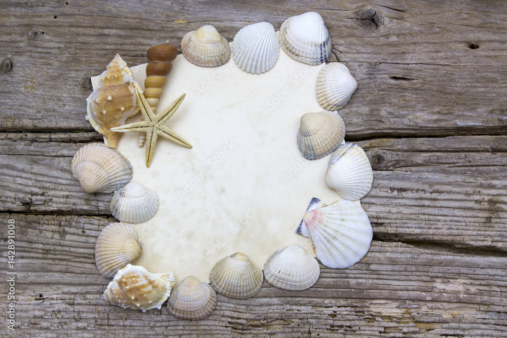 blank paper with seashells