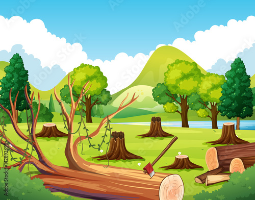 Forest scene with stump trees