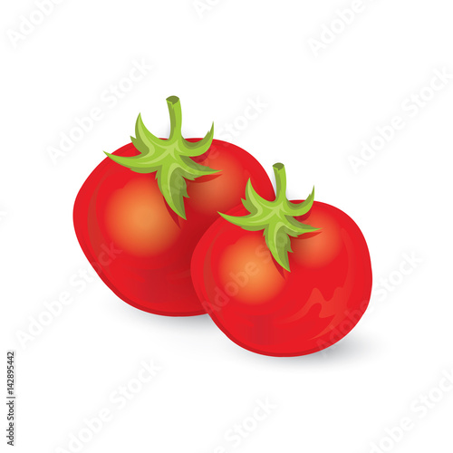 tomato icon and food vector
