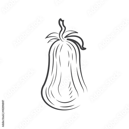 Tomato drawing icon design