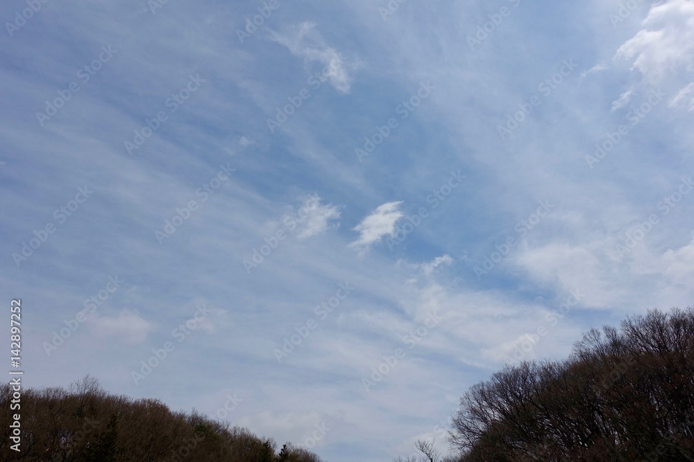 春の空 春の空