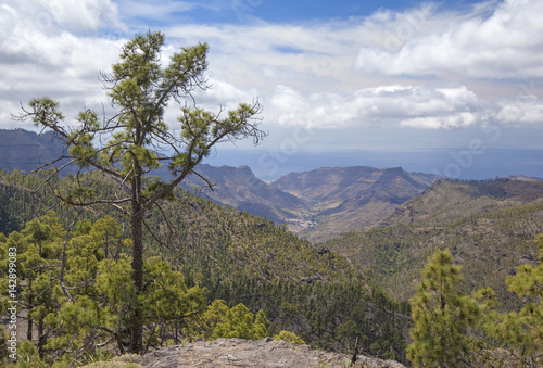 Central Gran Canaria  Nature Reserve Inagua