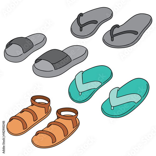 vector set of slippers