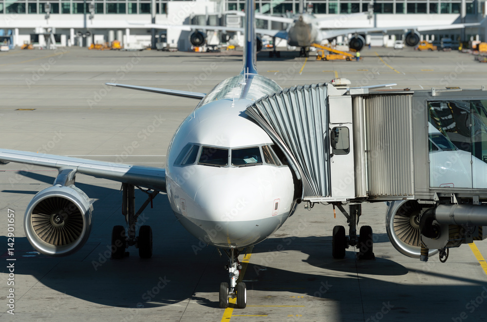 Fototapeta premium Passenger plane in the airport. Boarding.