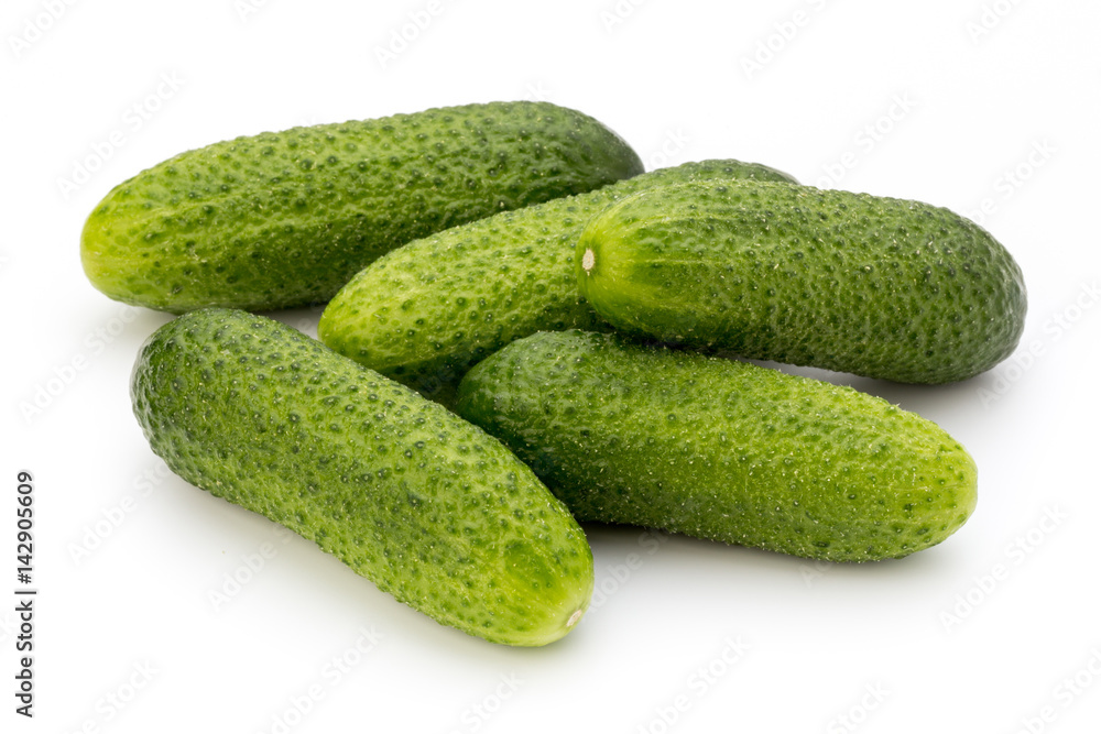 The first spring ecologically cucumbers. The first spring ecologically cucumbers.