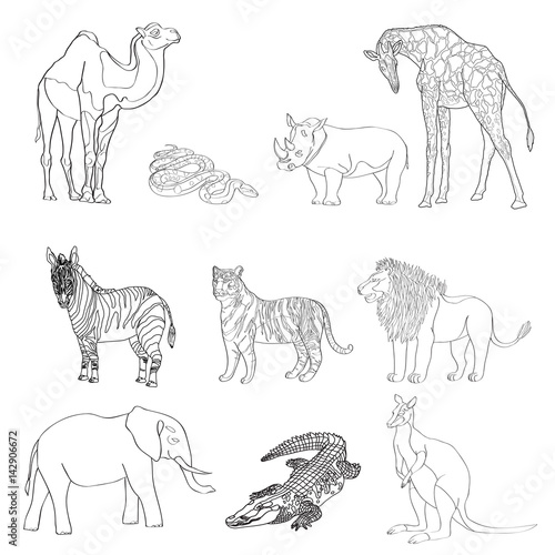 Vector illustration, the image of animals, animals. Black and white line. Elephant, kangaroo, camel, lion, zebra, rhinoceros, giraffe, snake, crocodile and tiger