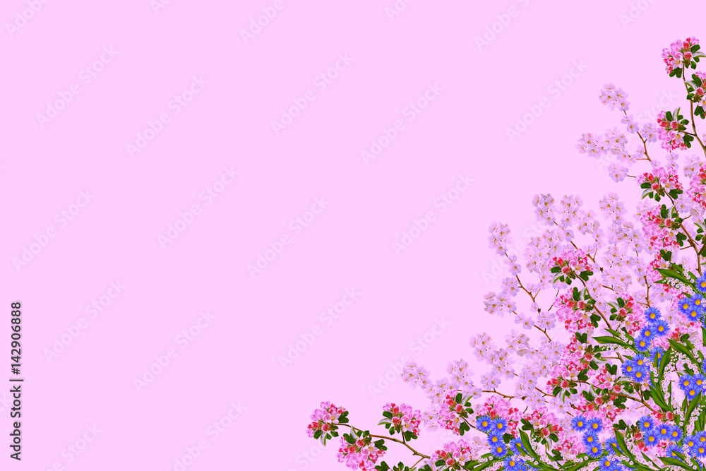 Blossoming branch apple. Bright colorful spring flowers Blossoming branch apple. Bright colorful spring flowers